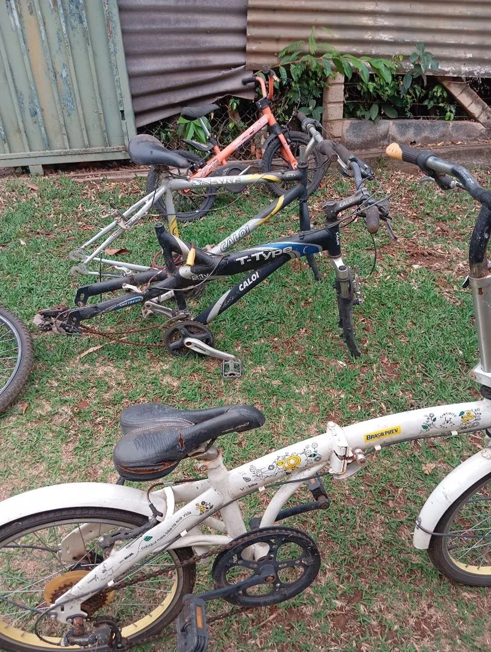 Bicicletas