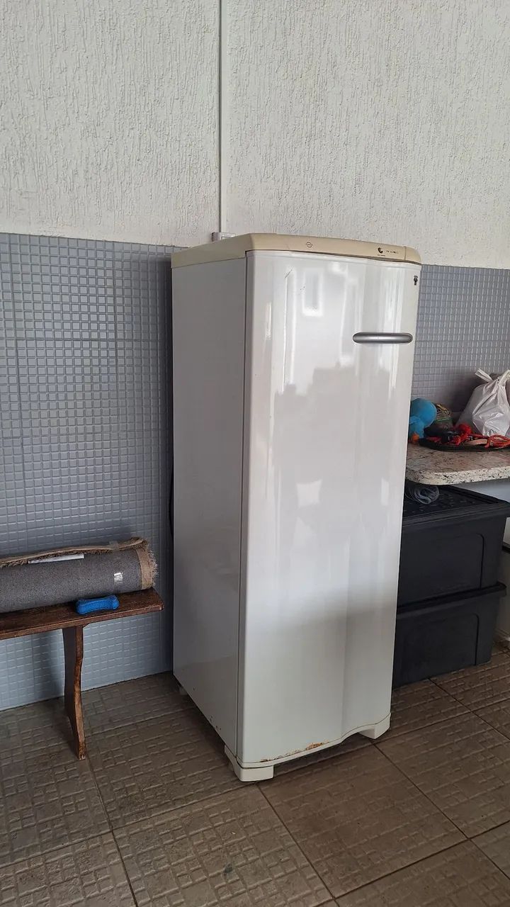 Freezer Electrolux - Foto 2