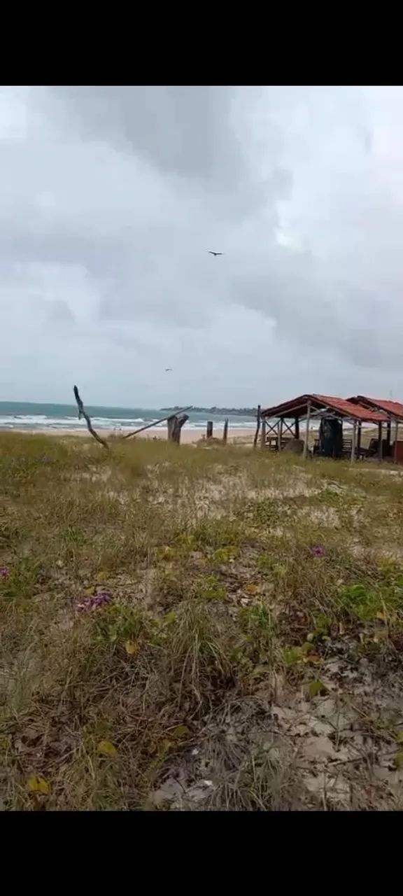 Terreno de frente para o mar