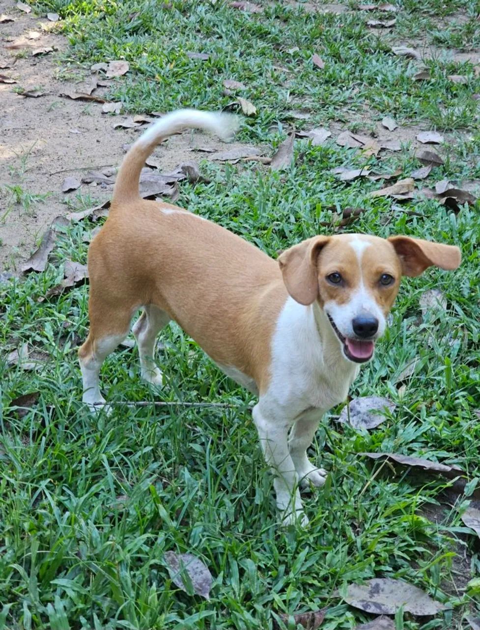 Doação  - Foto 5