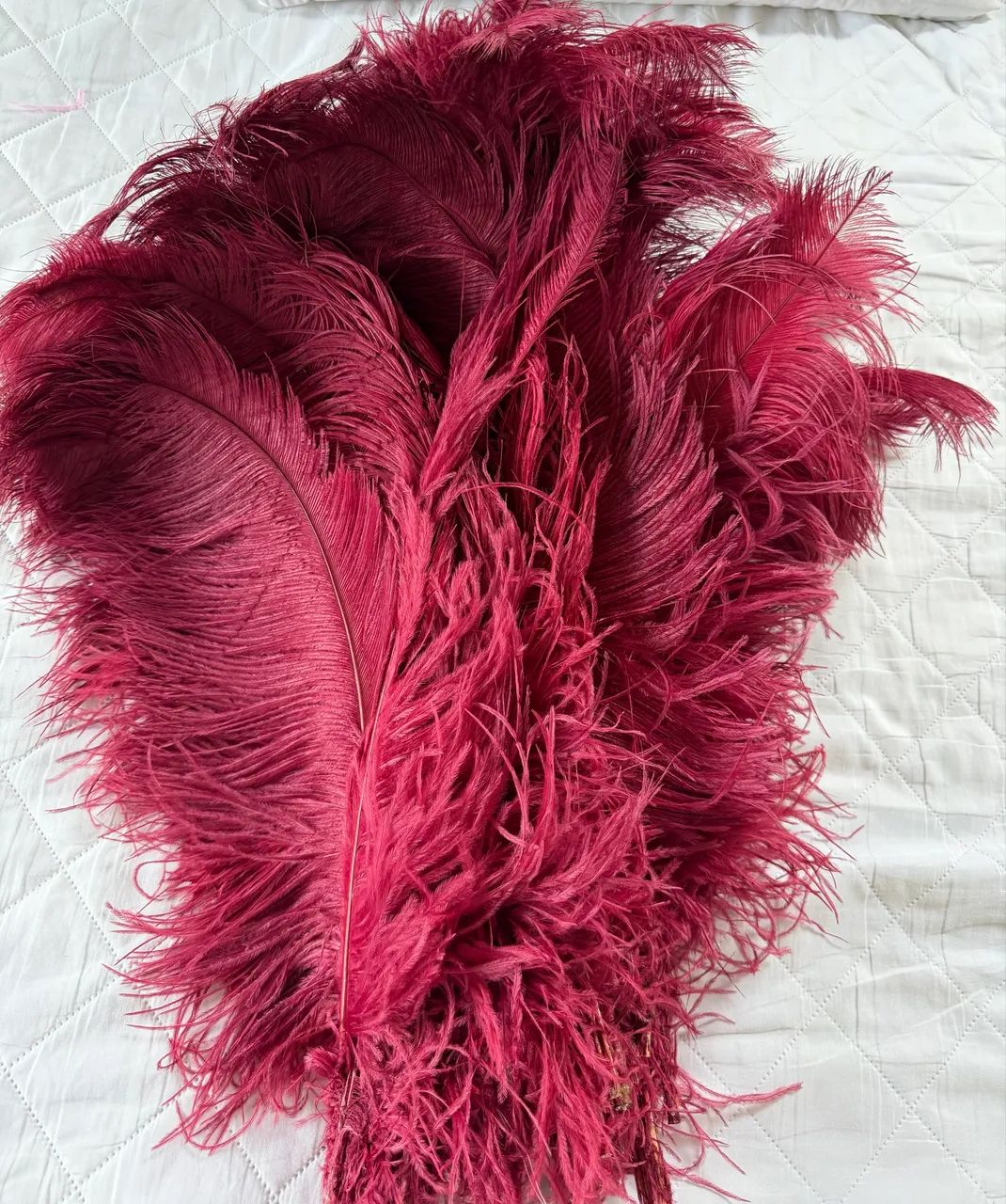Plumas para decoração  - Foto 2