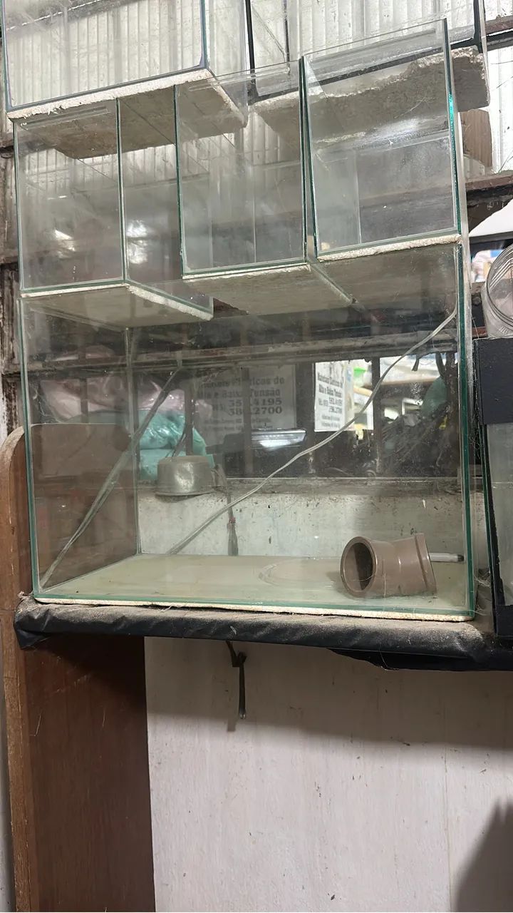 Aquários de diversos tamanhos
