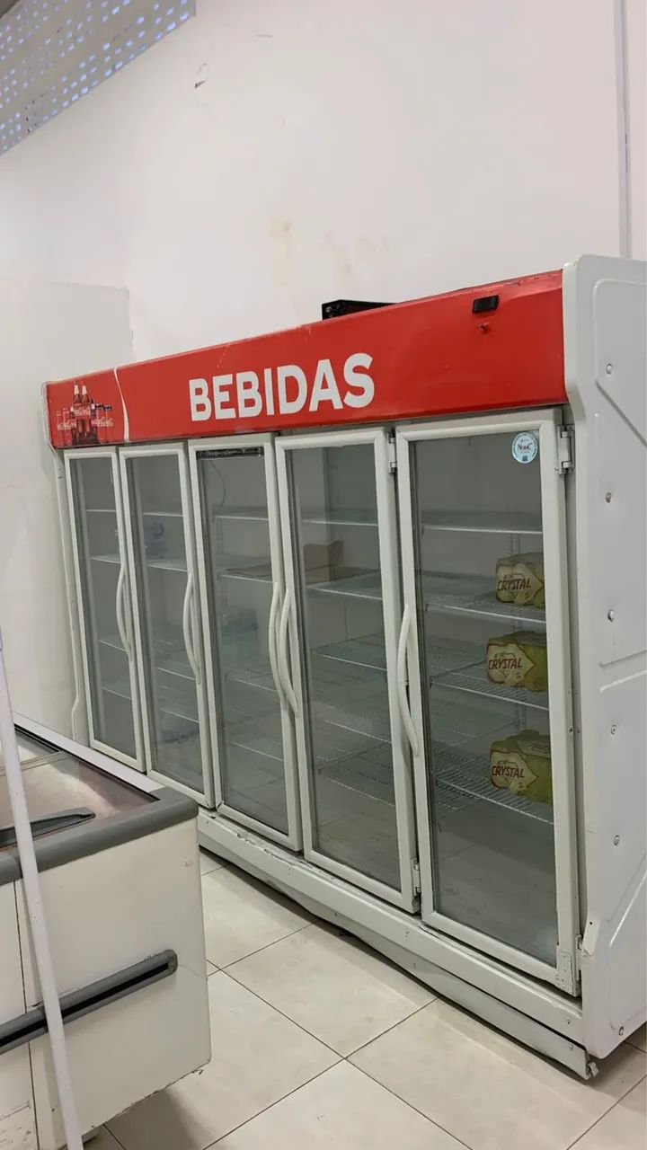 Freezer Termisa 5 Portas 220V