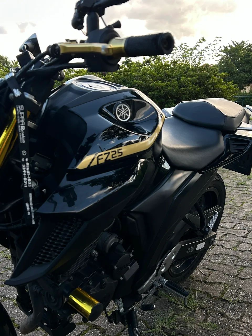 Yamaha Fazer 250 2019 - Personalizada e Impecável  - Foto 10