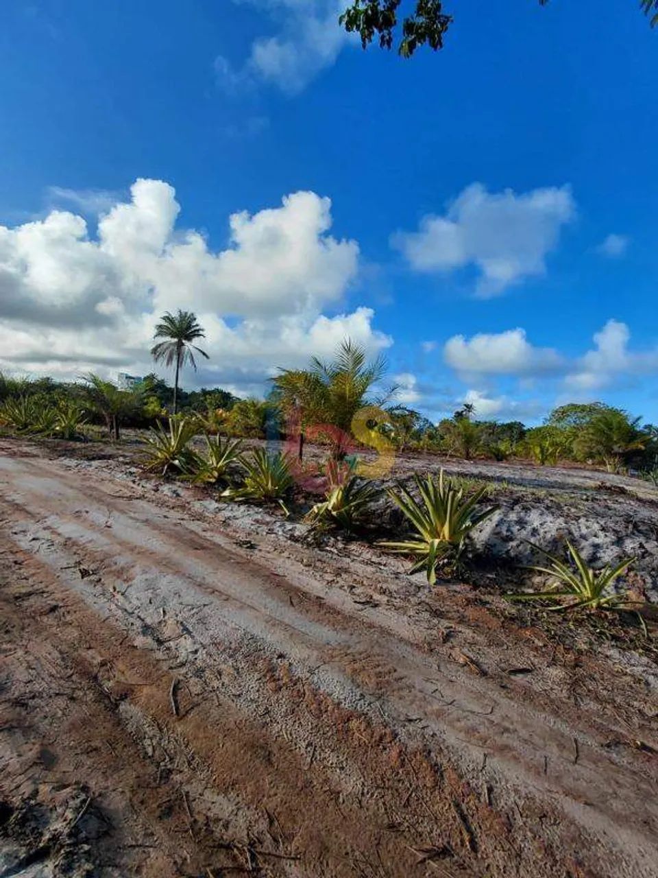 Vendo Lote na Ponta do Ramo/Aritaguá - Foto 5