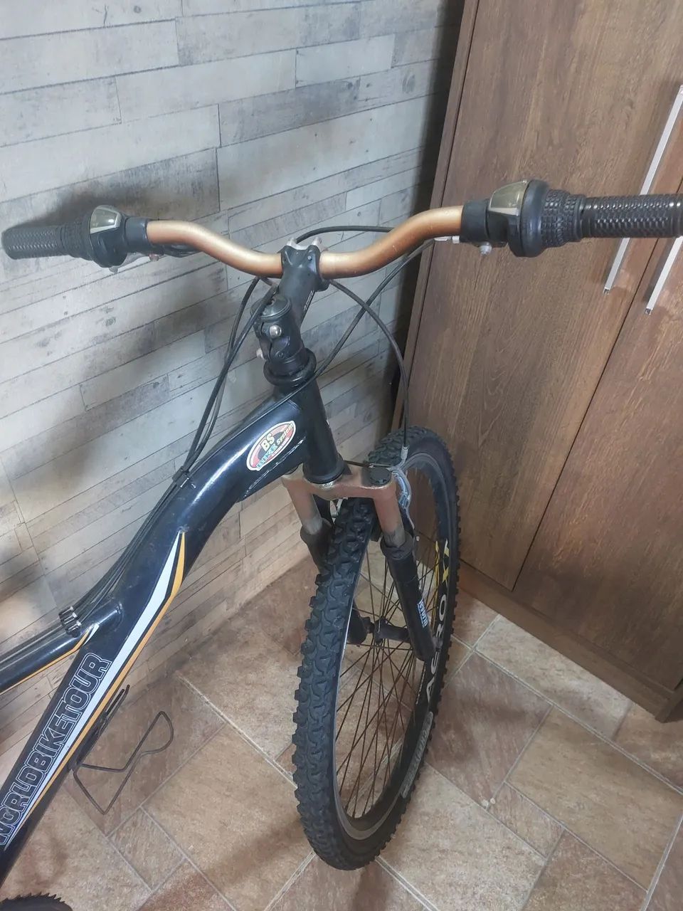 Bike Levorin world biketour