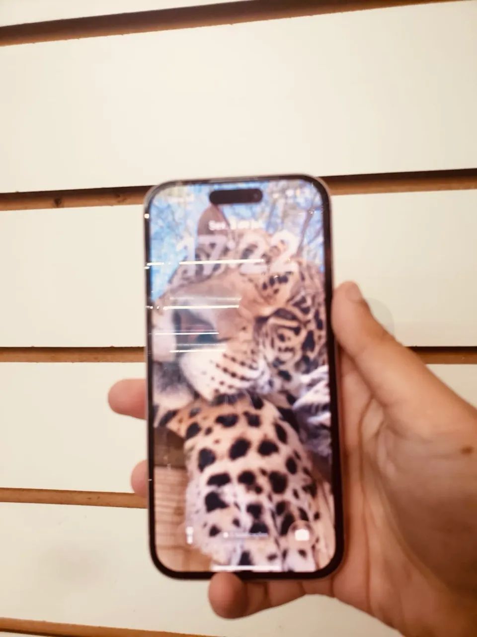 iPhone 15