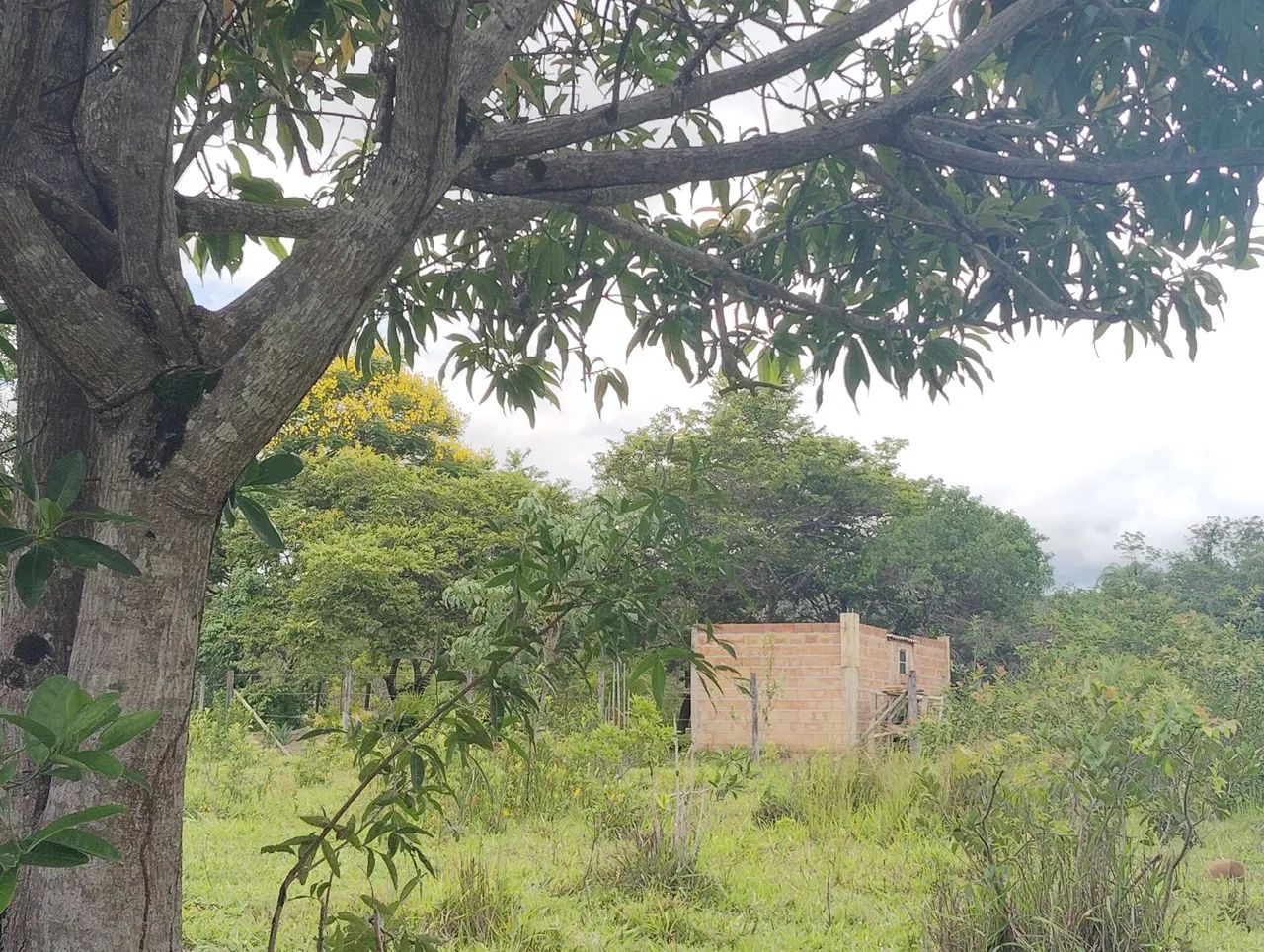Lote 2000 MTS 5,000 São José de Almeida  - Foto 9