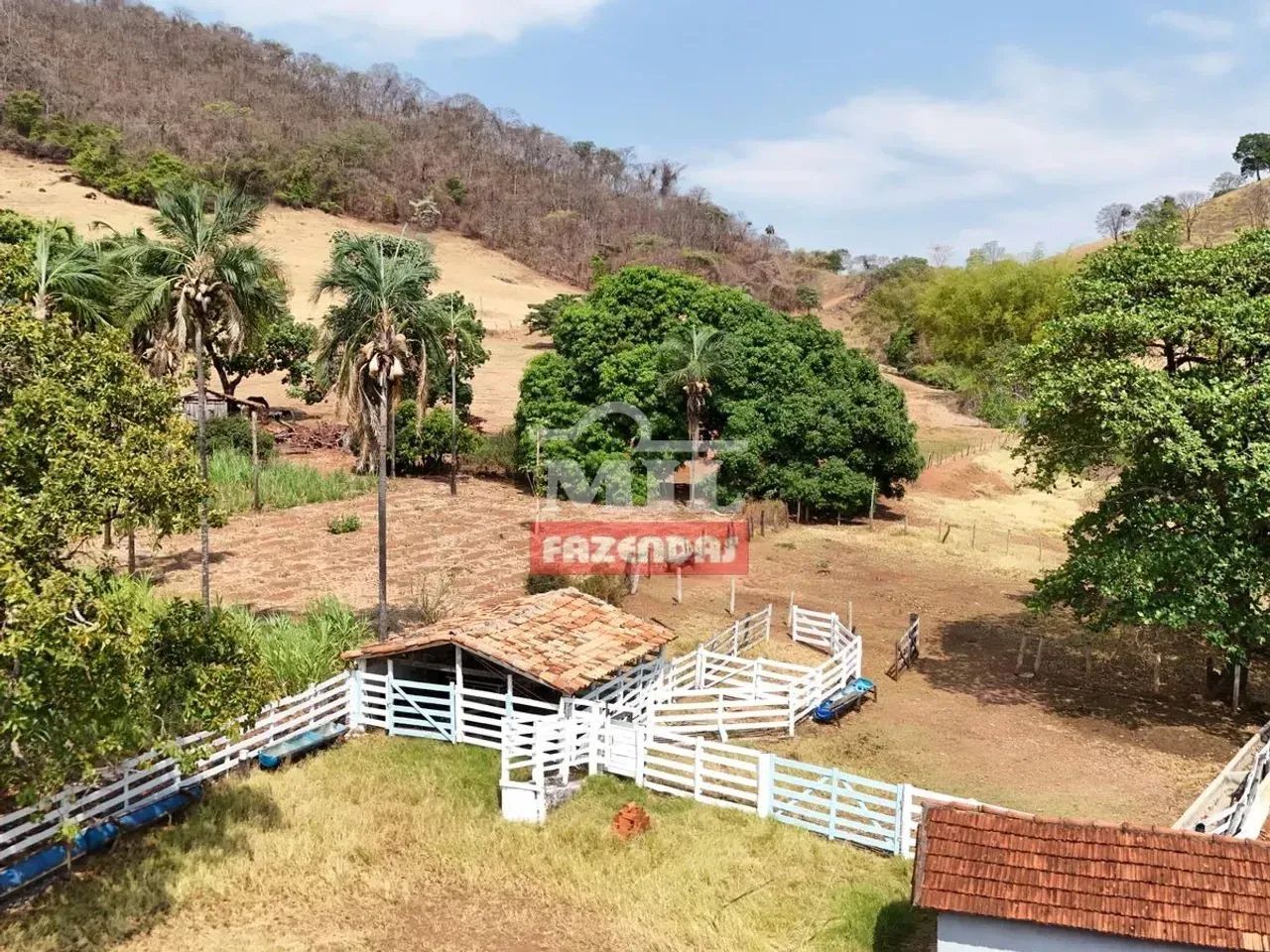 Chacara 5 Alqueire (24,2 hectares) Taquaral - GO - Foto 4
