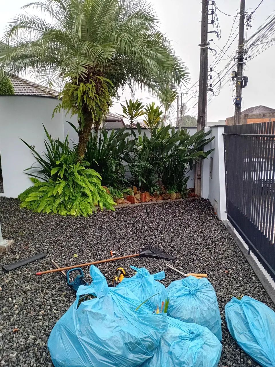 Jardinagem em geral - Foto 3