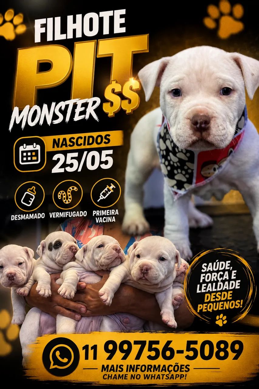 Pitmonster