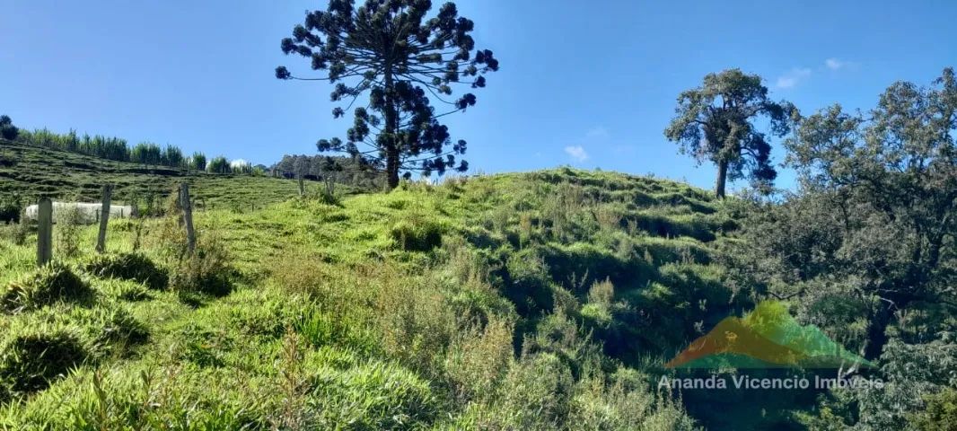 Espetacular chácara com 12.000m² na belíssima Mantiqueira!! Rica em água Delfim Moreira MG - Foto 9