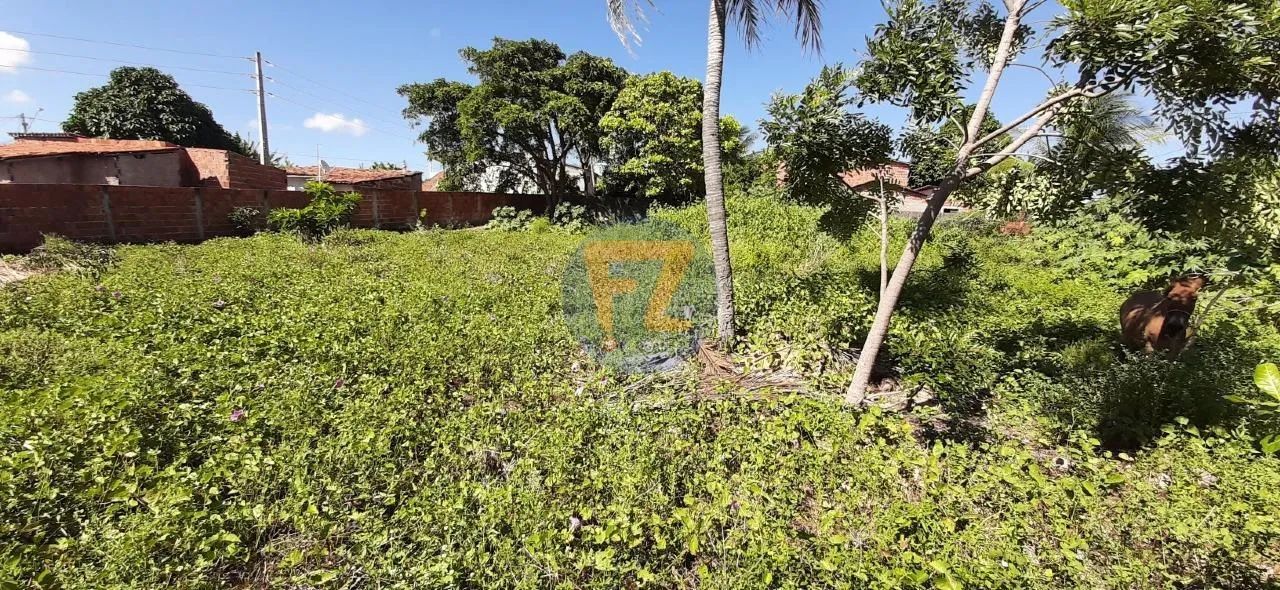 Locação de Terreno / Padrão na cidade de EUSÉBIO - Foto 3
