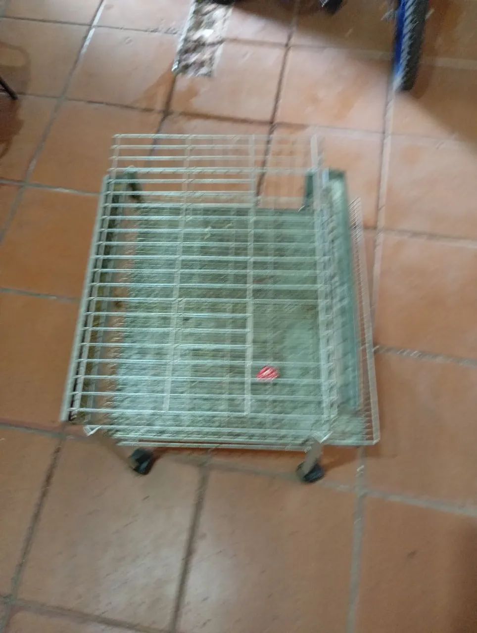 Gaiolas pra vários tipos de animais  - Foto 4