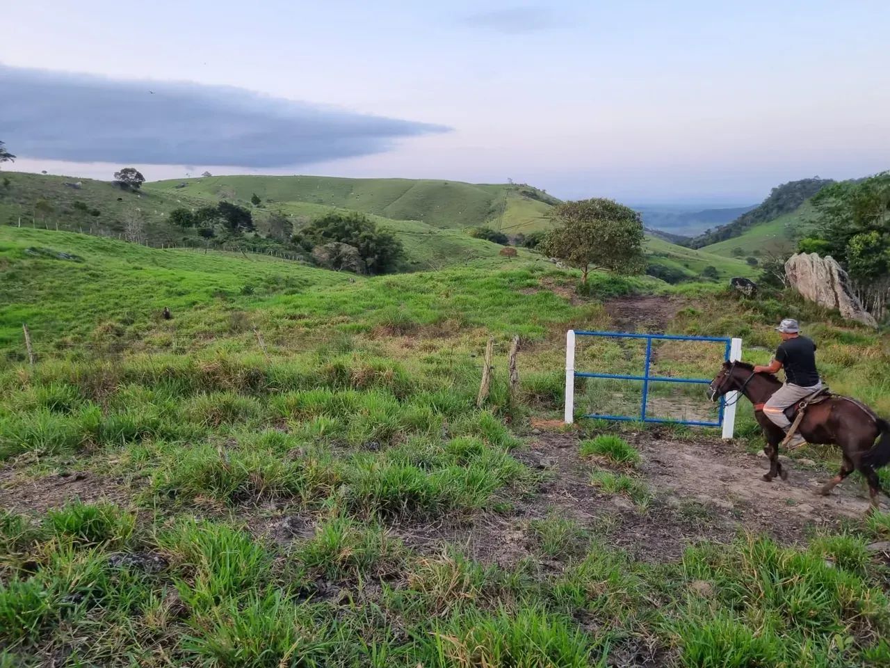 Fazenda À Venda em Atalaia - Foto 4