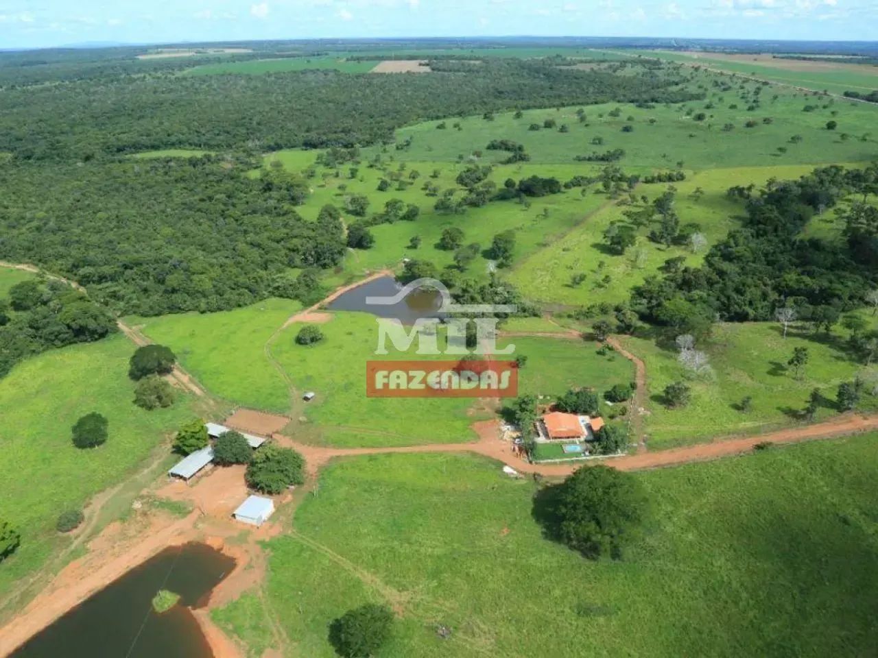 Fazenda 140 Alqueires (678 hectares) Araguaçu - TO - Foto 5