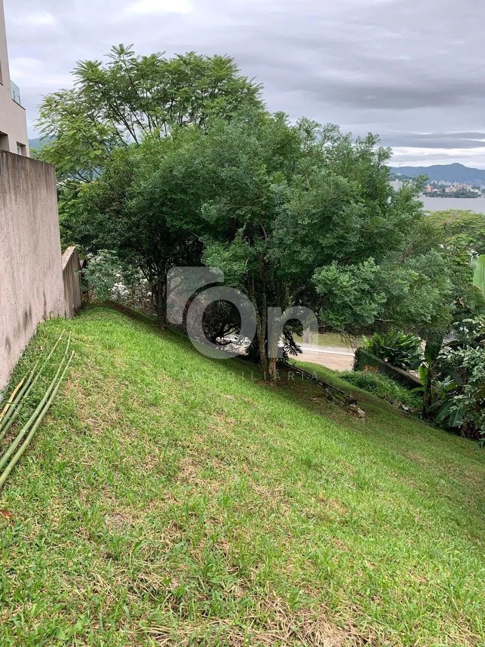 Terreno à venda no Cacupé - Foto 4