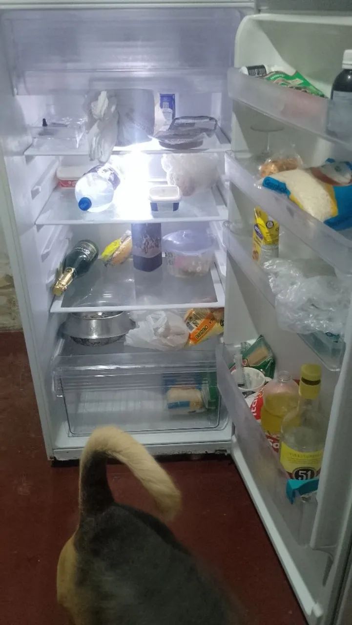 Vendo geladeira Panasonic  - Foto 4