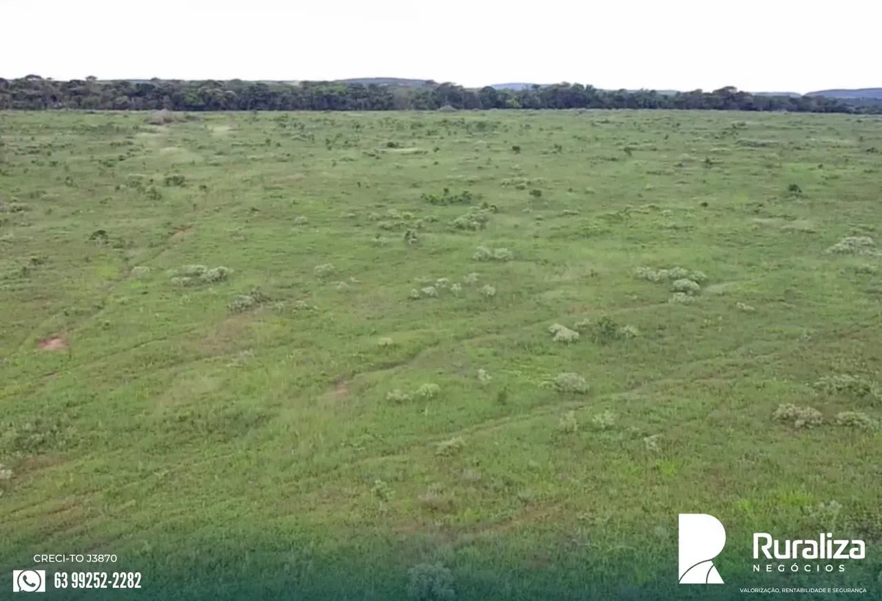 126 HA COM POTENCIAL PARA LAVOURA | NASCENTES E POÇO ARTESIAN - Foto 5