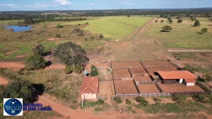 FAZENDA À VENDA EM ARAGUAÇU/TO  421 ALQUEIRES - Foto 3