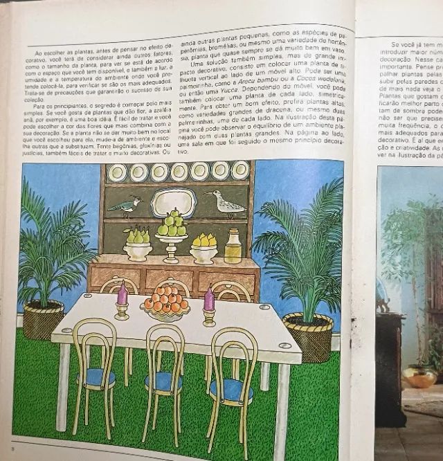 . plantas dentro de casa - Foto 5
