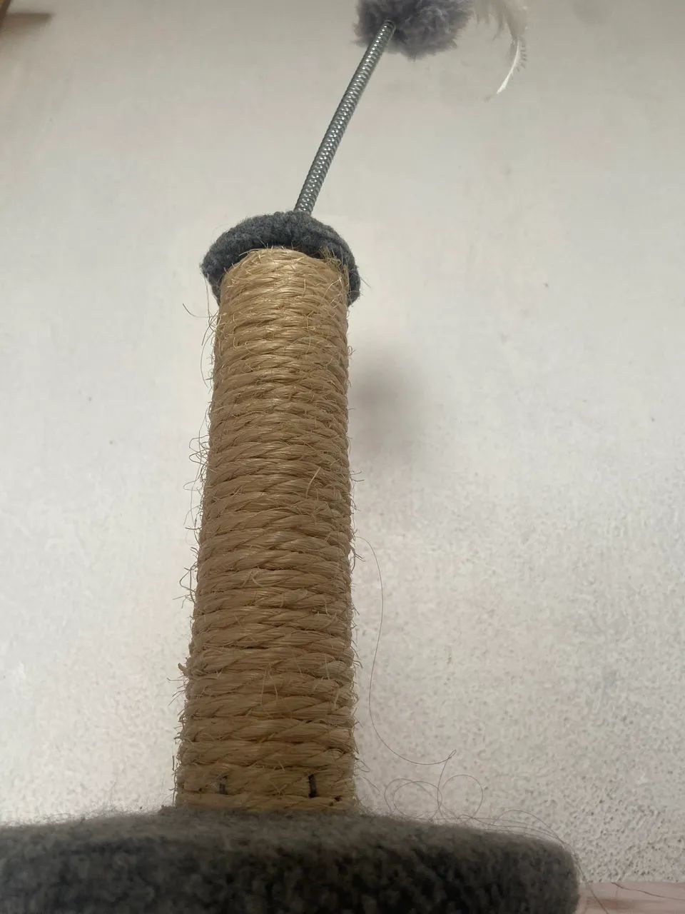 Acessórios para Gatos  - Foto 2