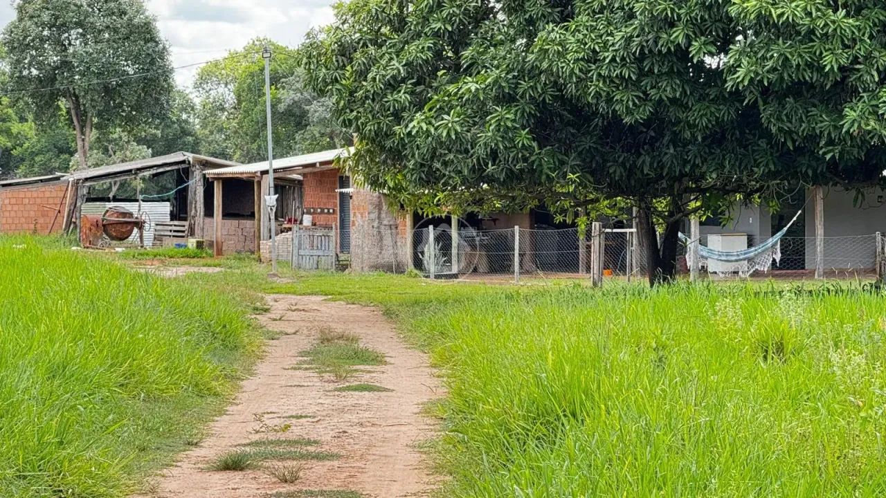 SITIO COM 31 HECTARES FORMADO - Foto 5