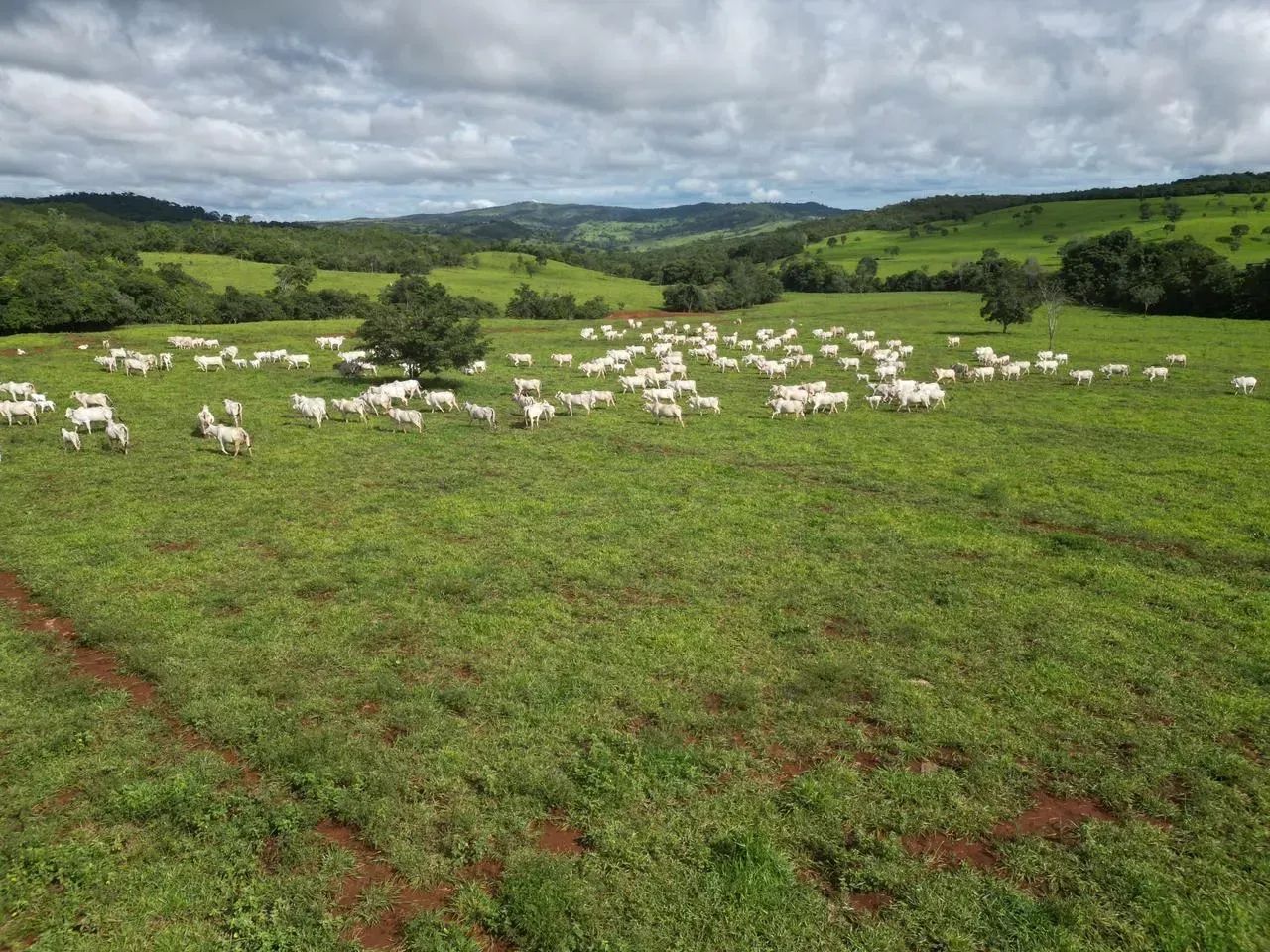 Fazenda Itapaci - Go - Foto 3