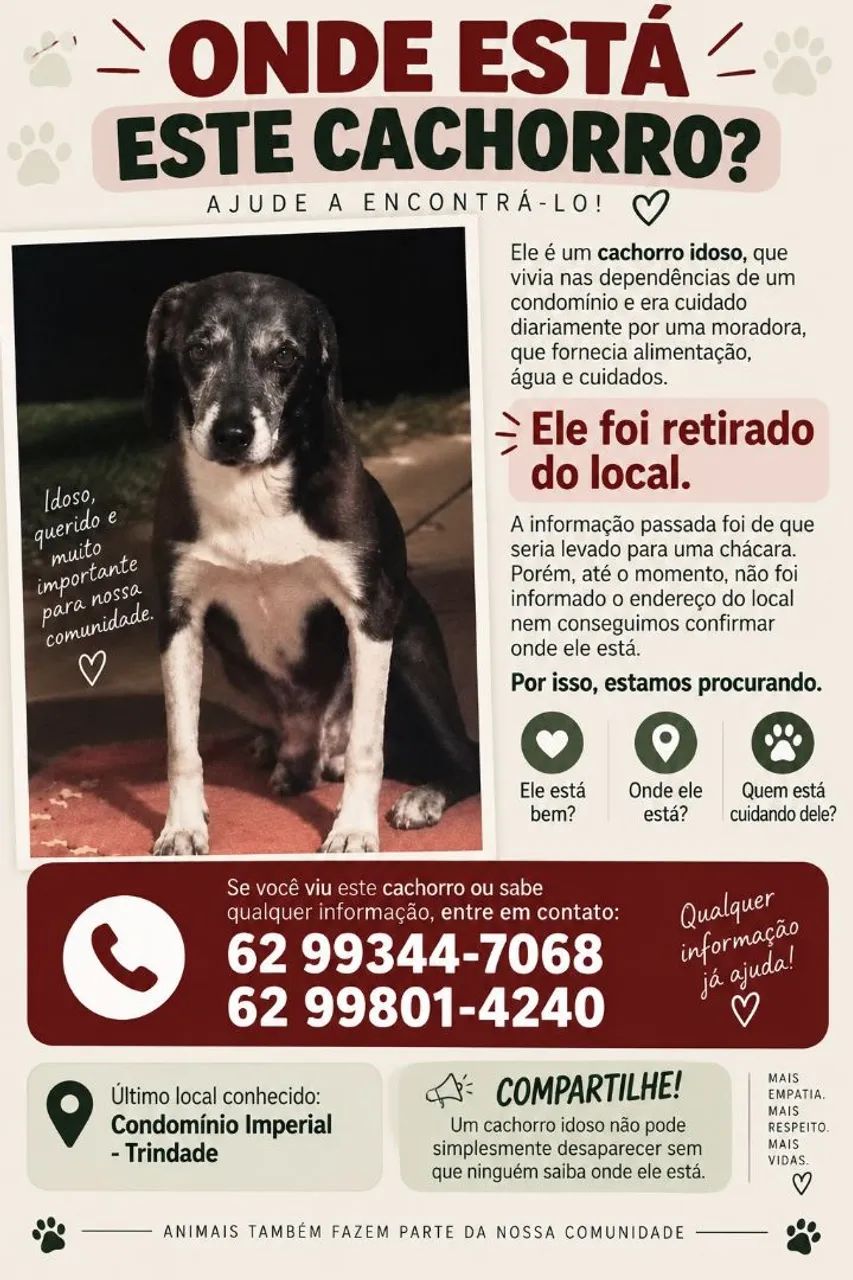 Procurando por esse cão