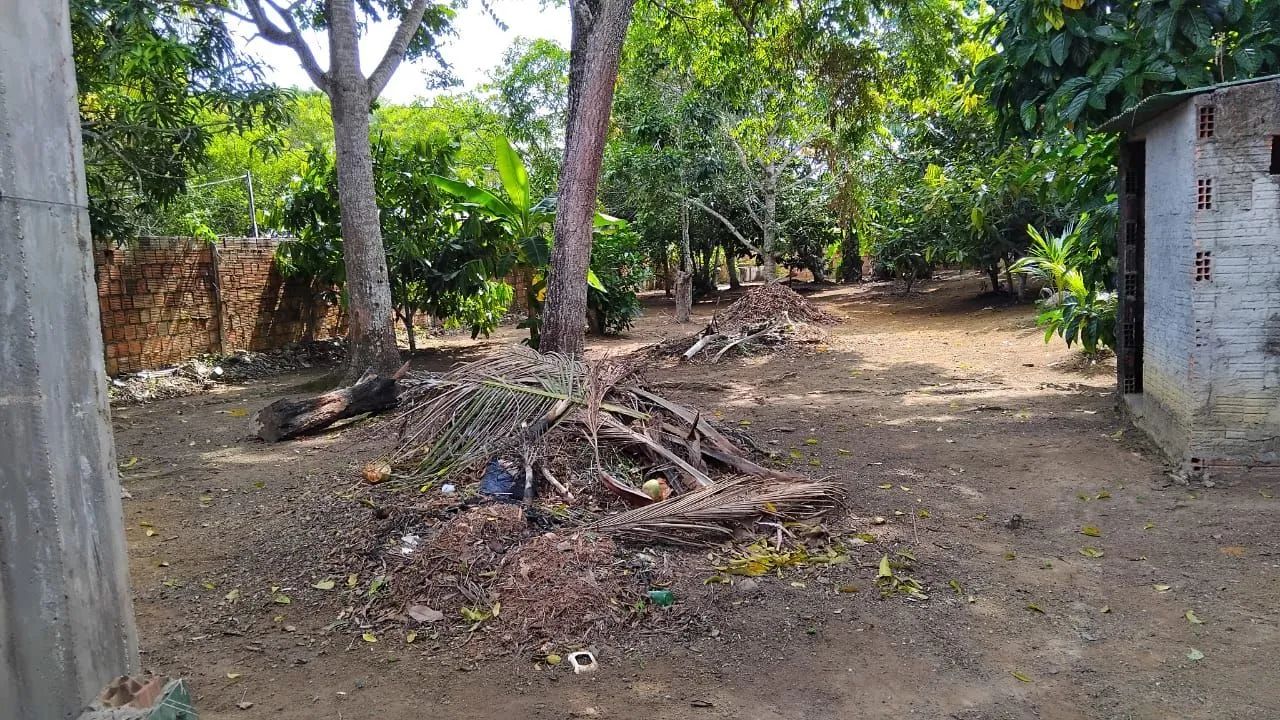 Chácara  - Foto 5