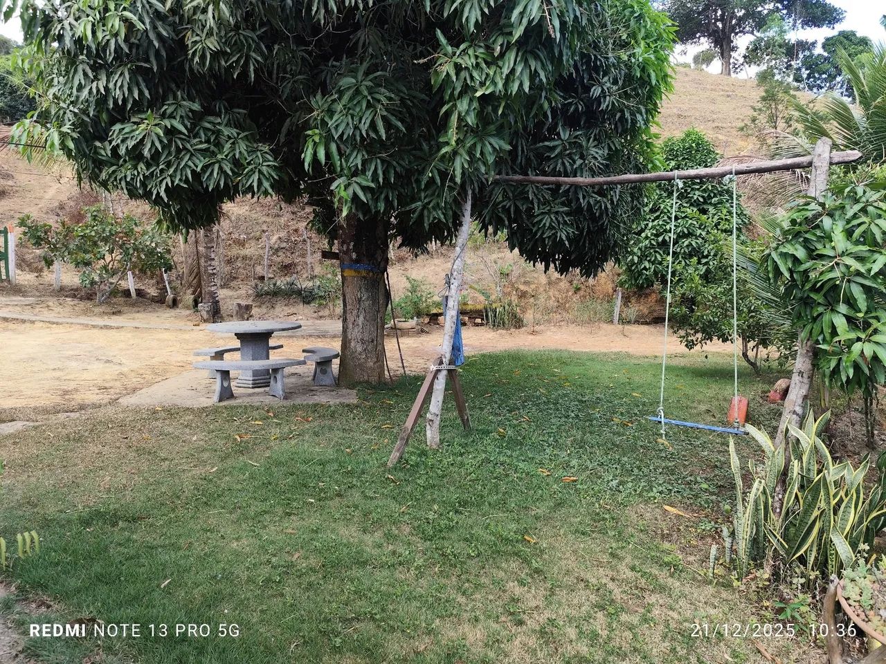 Vendo sítio em Ibateguara/AL - Foto 5