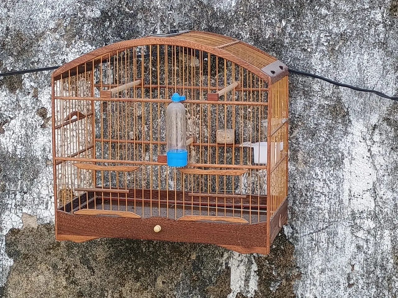 Tenho Duas Gaiolas semi nova em perfeito estado pronta pra vender no precinho - Foto 2