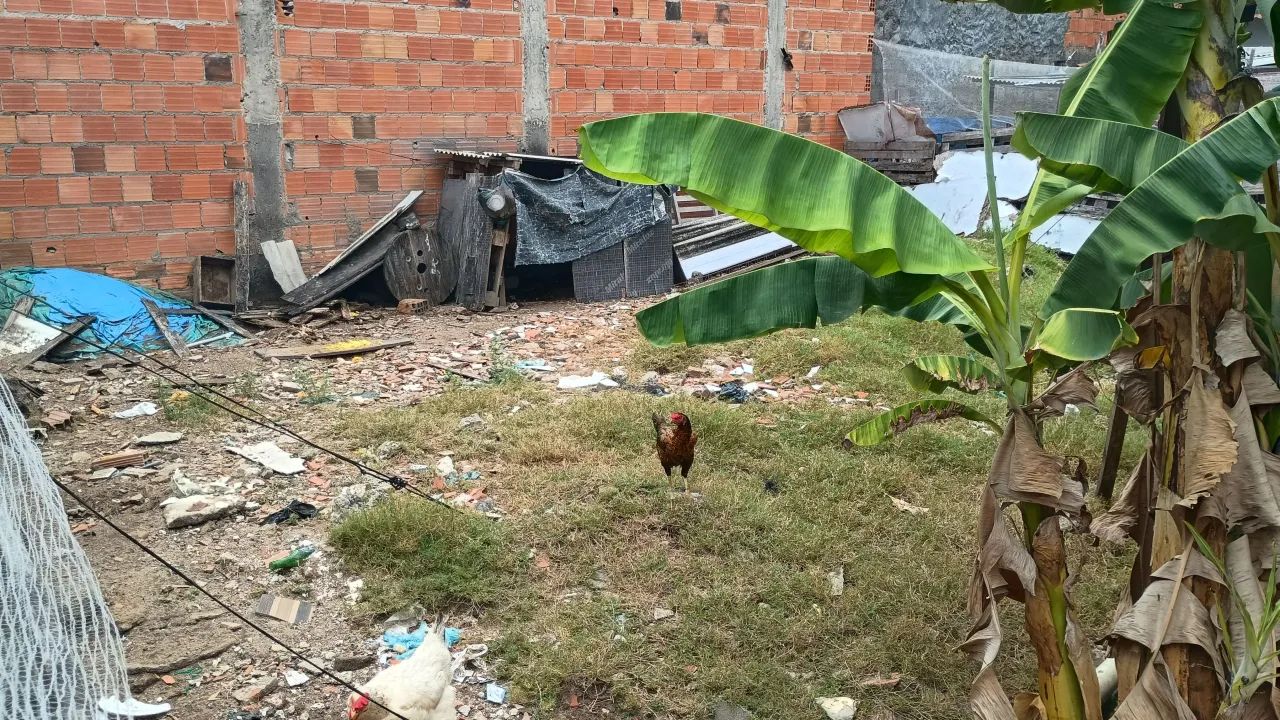 Lote à venda, TABULEIRO DO MARTINS, Maceió, AL - Foto 4