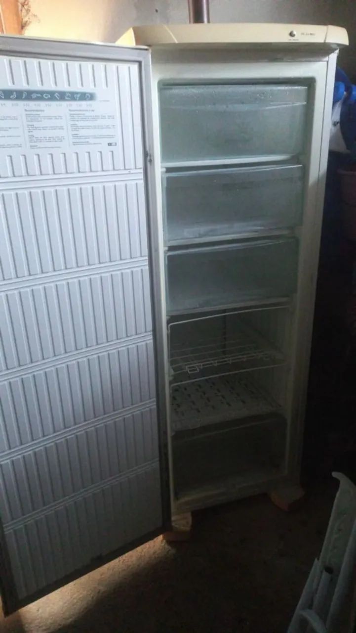 Freezer Electrolux  - Foto 3