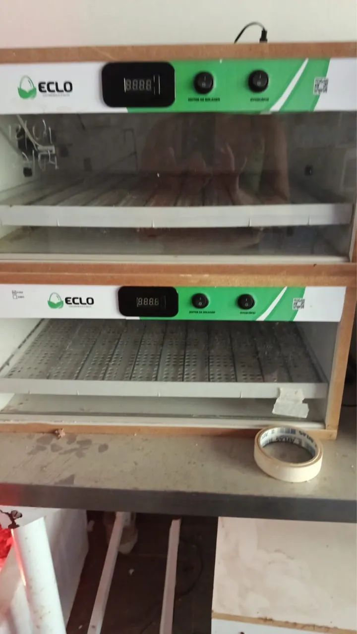 Chocadeira eclo 100 ovos 4 meses de uso