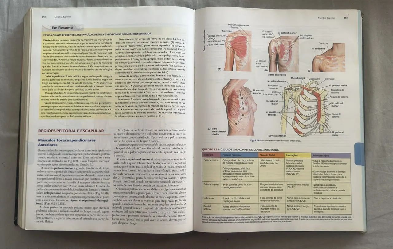 Anatomia Orientada para Clínica- MOORE - Foto 2