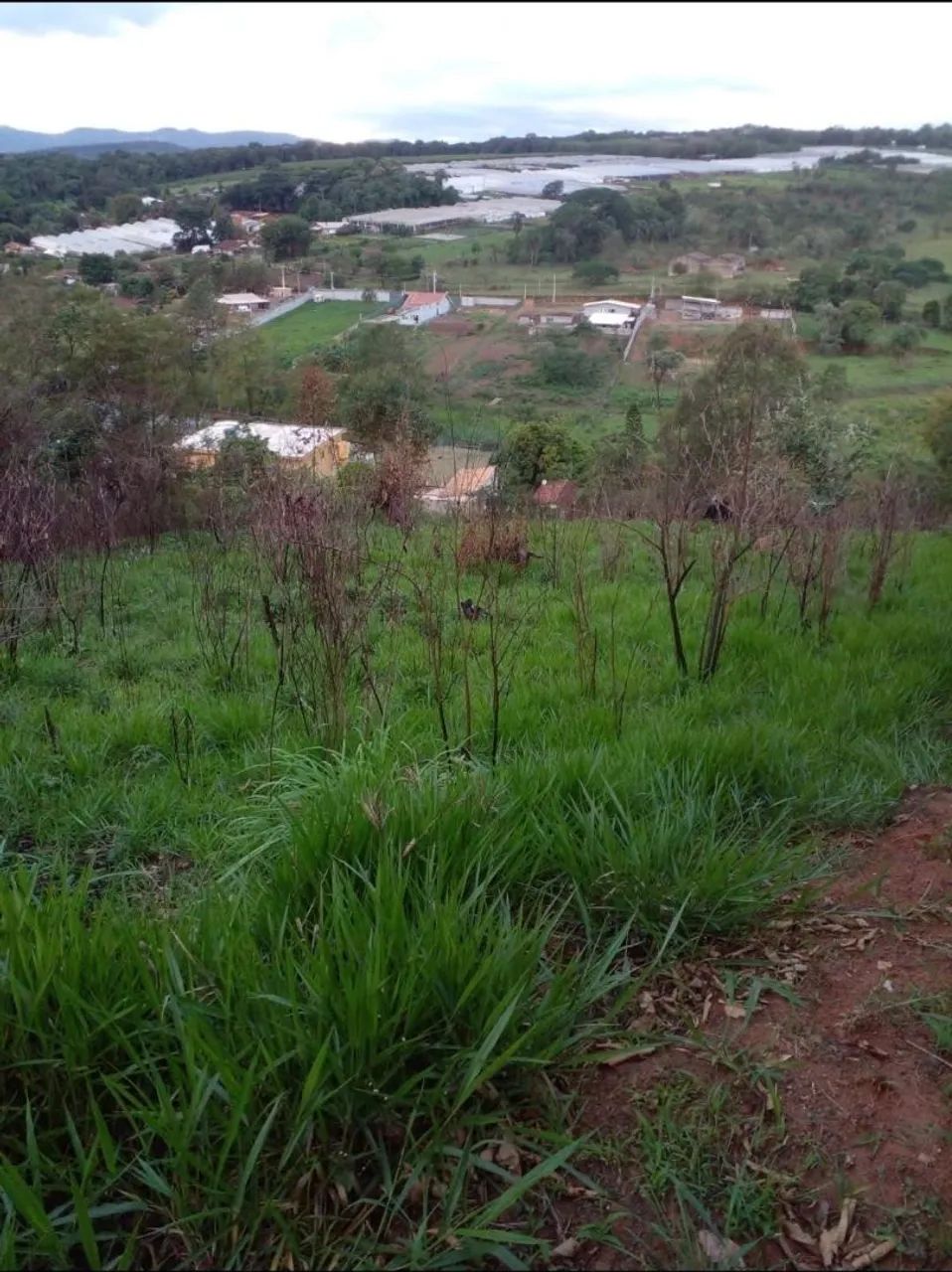 Foto - Atibaia - Caetetuba