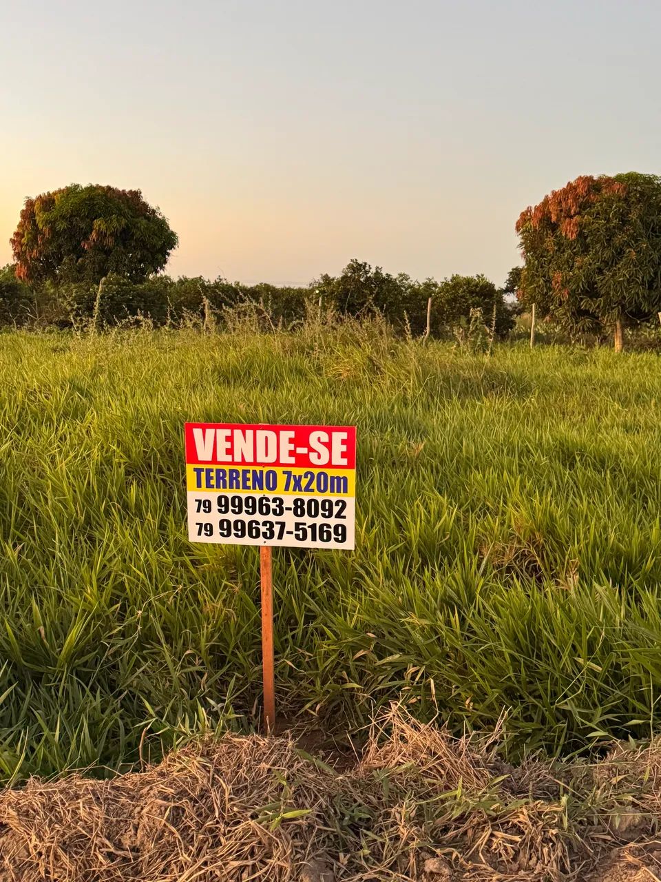 Vendo barato lote em umbaúba  - Foto 2