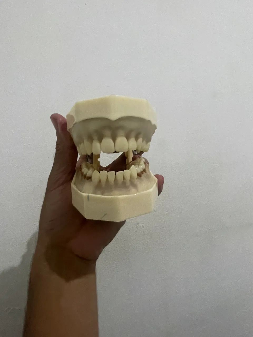 Vendo manequim odontológico 