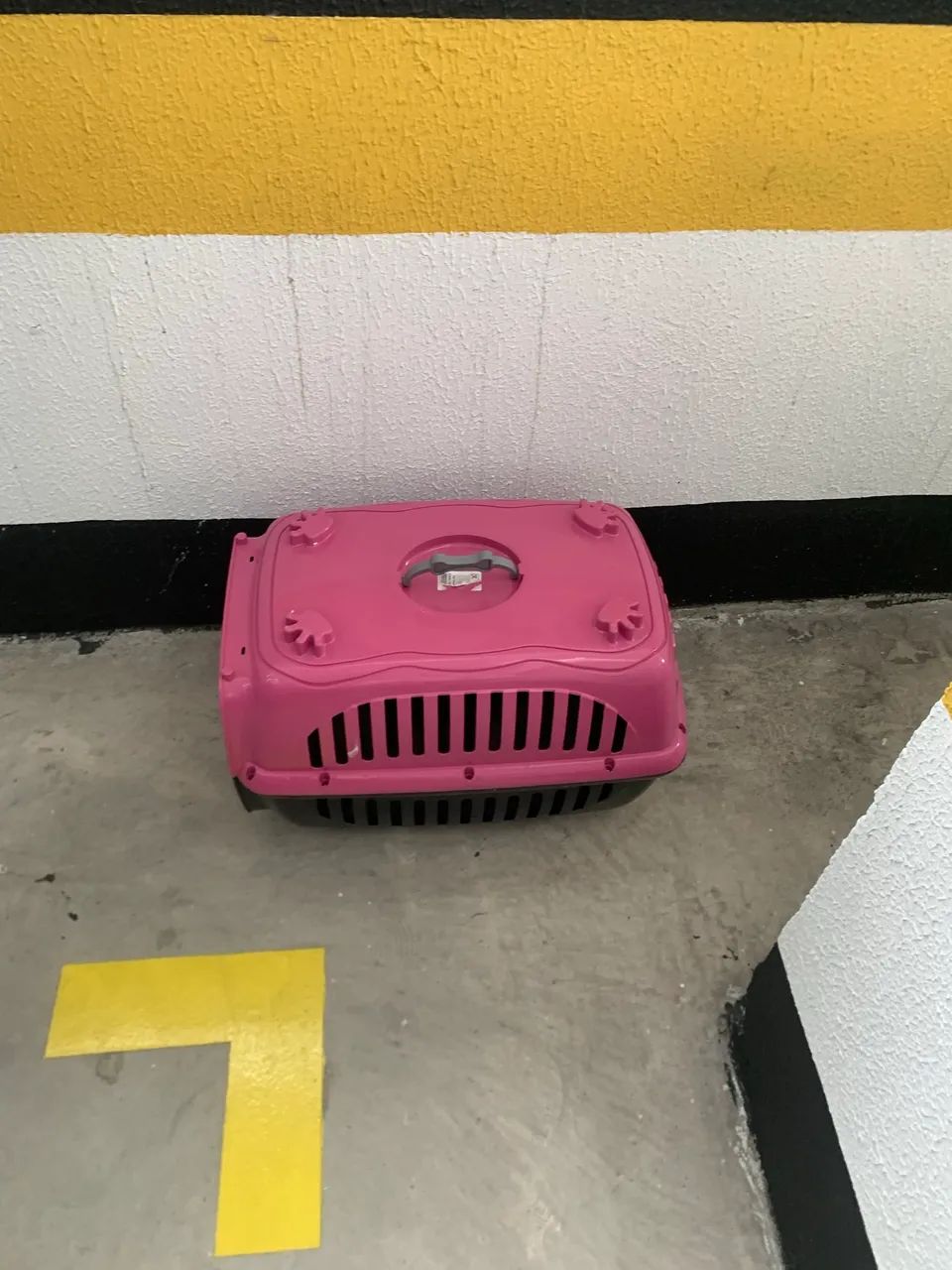 Caixa para transporte de animais 