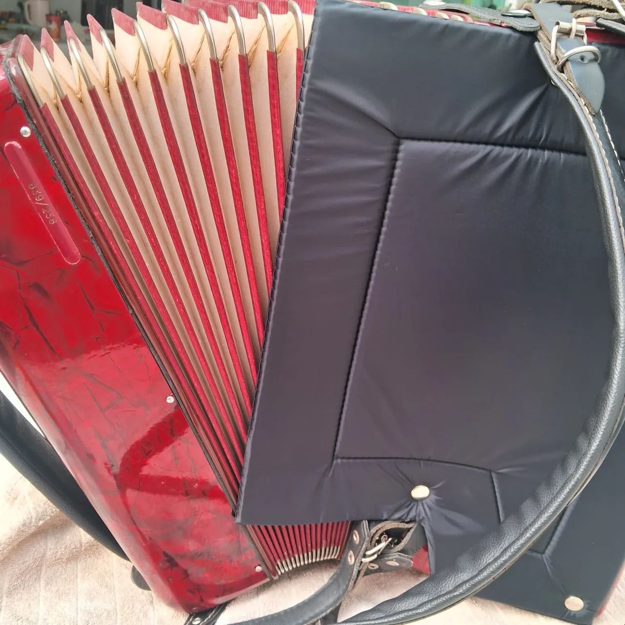 Acordeon  - Foto 3