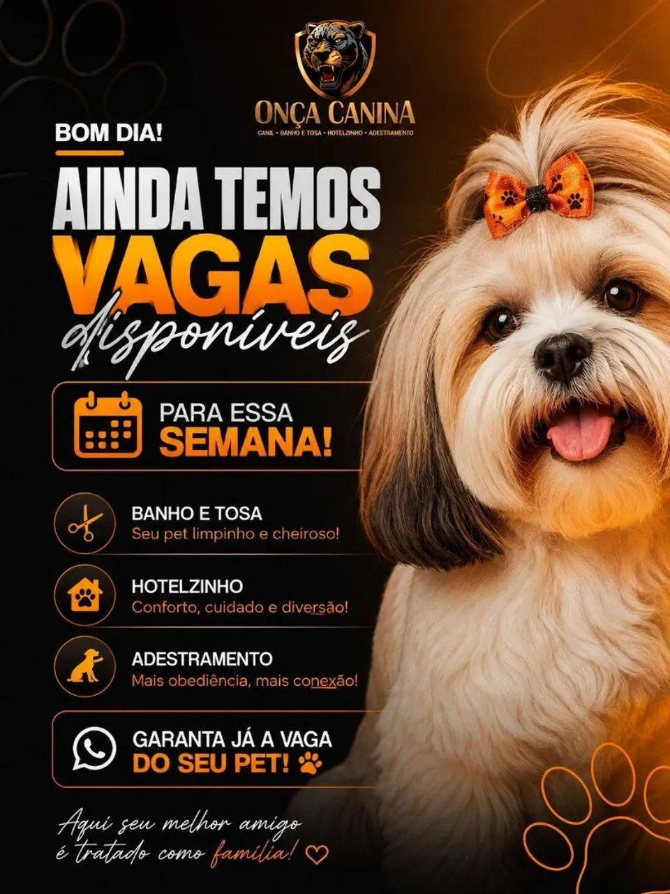 Banho e tosa 