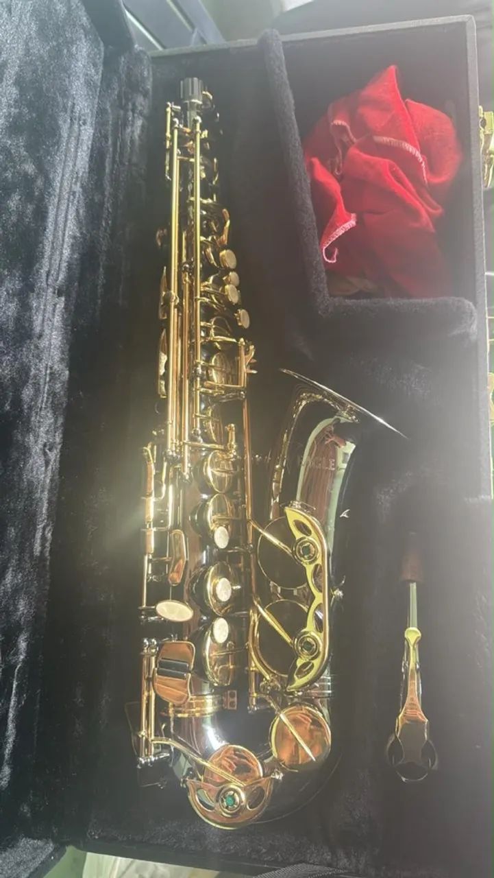 Sax Alto Eagle 