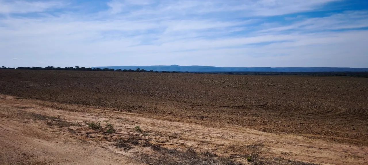 Fazenda dupla aptidão  - Foto 5