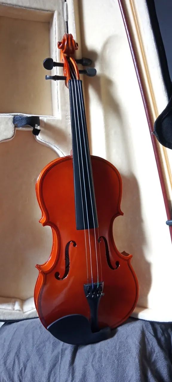 Violino Iniciante - Foto 5