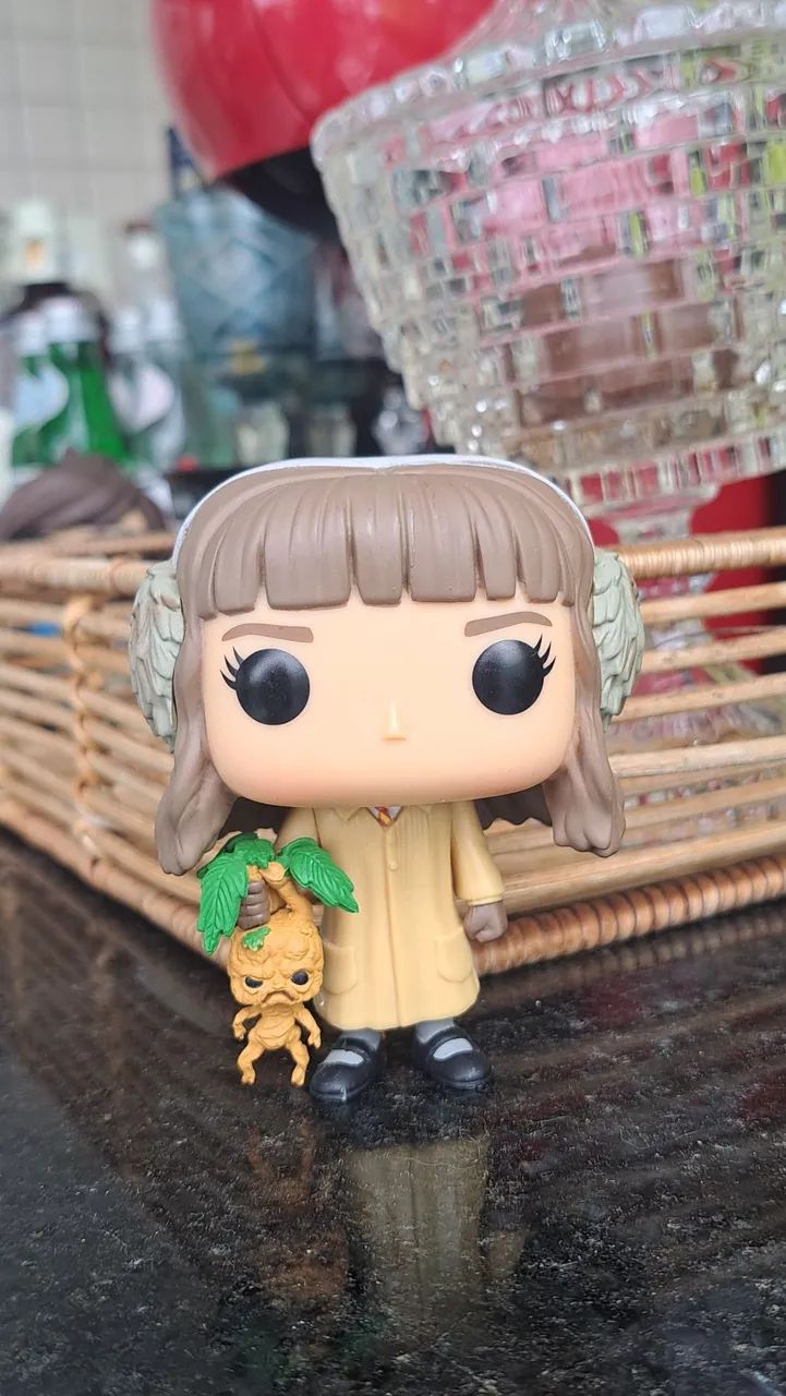 Funko Pop Hermione Harry Potter