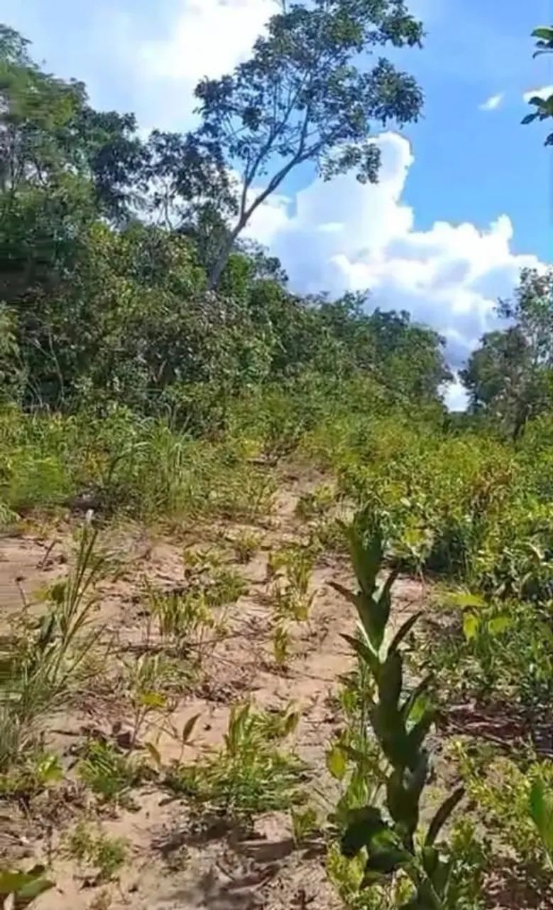 Vendo terreno