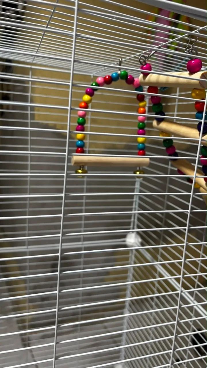 Gaiola