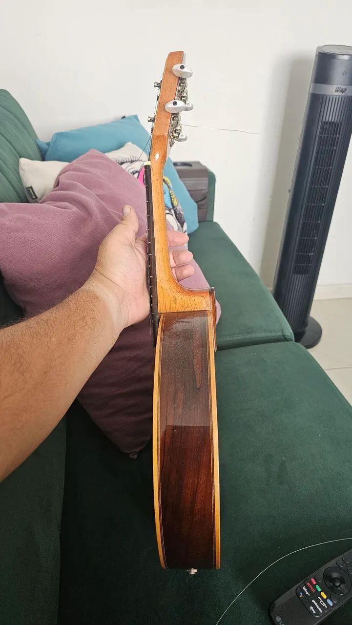 Banjo Rozini - Foto 3