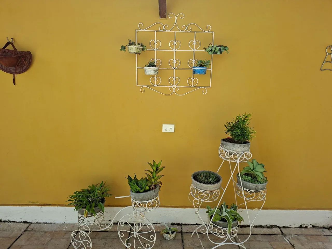 Jarros e plantas - Foto 5